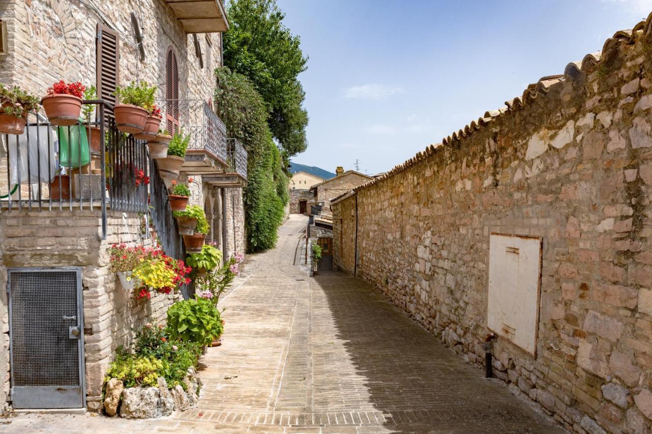Rustic House, Con Patio E Giardino, Assisi Centro Villa Exterior photo